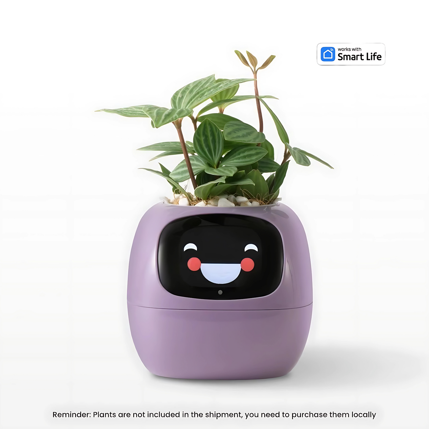 GrowBuddy- Smart Planter